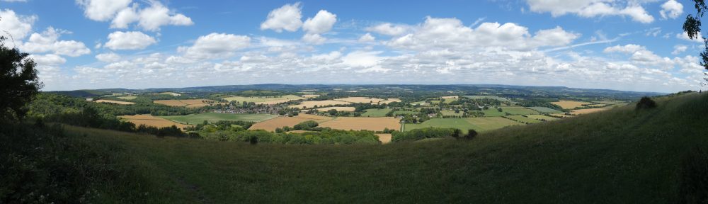 Panorama