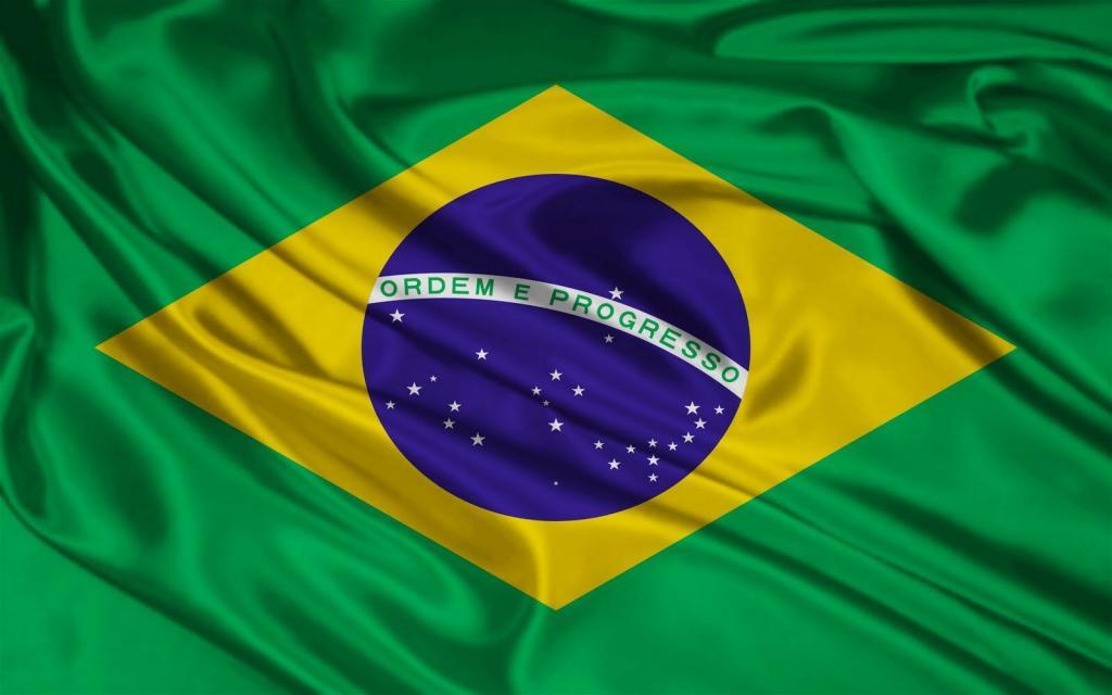 Brazil Flag Livros em Português