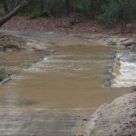Matthews flooding