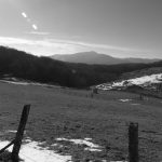 Arty Blue Ridge 1