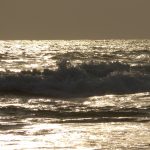 Waves