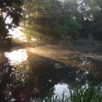 Canal Mist