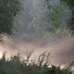 Canal Mist 2