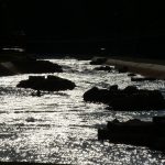 Whitewater Park