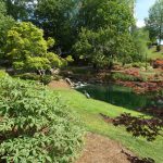 Park 2