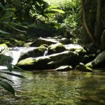Stream USA Trips