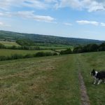 South Downs
