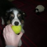 Ball