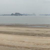 Viet 9 Pan