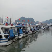 Viet 21