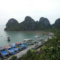 Viet 1 Bay