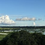 Peru, Amazon Iquitos 3