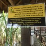 Peru, Amazon Lodge 2