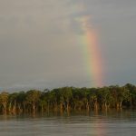 Peru, Amazon Rainbow 2