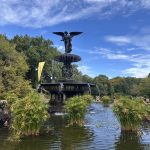 New York Central Park Fountain
